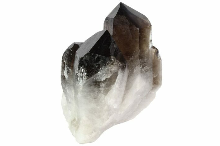 Dark Smoky Quartz Crystal Cluster - Brazil #84803